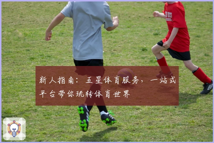 新人指南：五星体育服务，一站式平台带你玩转体育世界