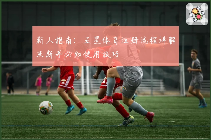 新人指南:五星体育注册流程详解及新手必知使用技巧