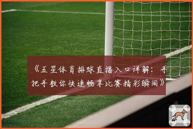 《五星体育排球直播入口详解：手把手教你快速畅享比赛精彩瞬间》
