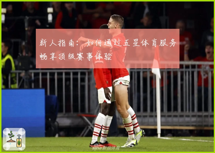 新人指南：如何通过五星体育服务畅享顶级赛事体验