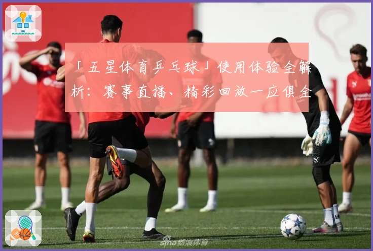 「五星体育乒乓球」使用体验全解析：赛事直播、精彩回放一应俱全