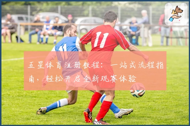 五星体育注册教程：一站式流程指南，轻松开启全新观赛体验