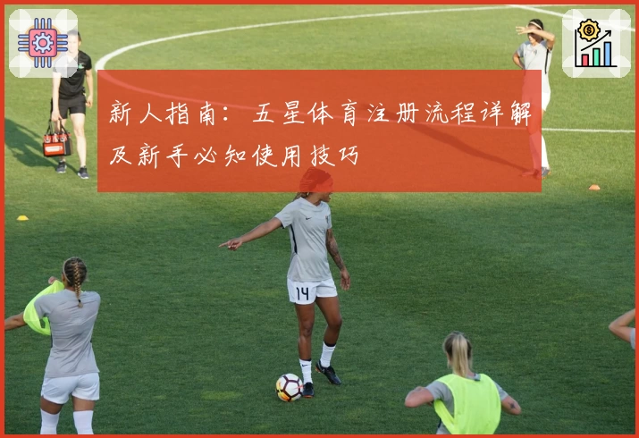 新人指南:五星体育注册流程详解及新手必知使用技巧