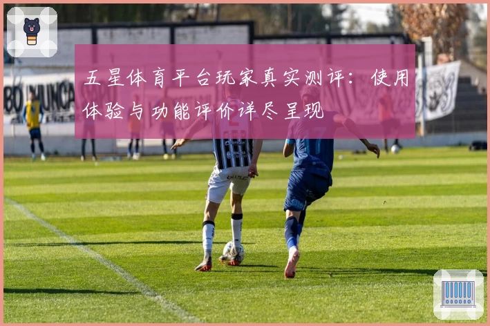 五星体育平台玩家真实测评：使用体验与功能评价详尽呈现