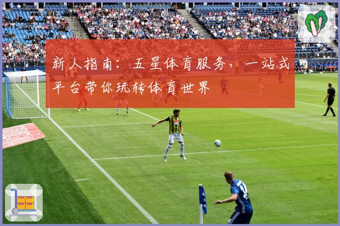 新人指南：五星体育服务，一站式平台带你玩转体育世界